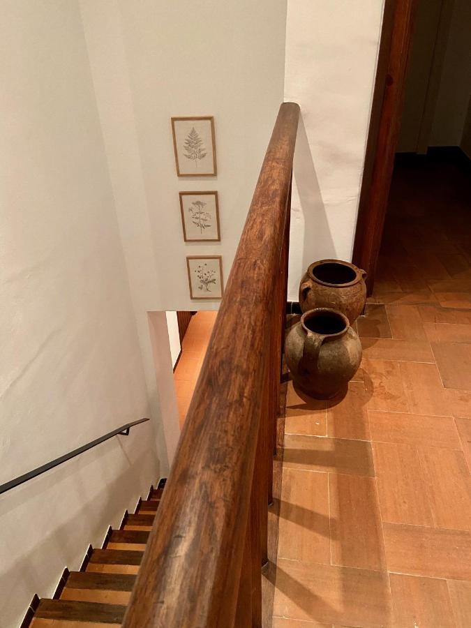 Hotel Ecoturisme Mas Ribas Palamós Esterno foto